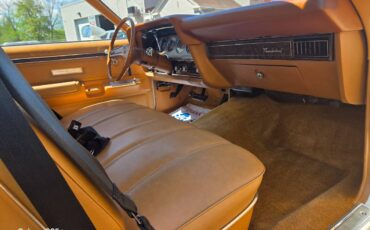Ford-Thunderbird-1979-white-6