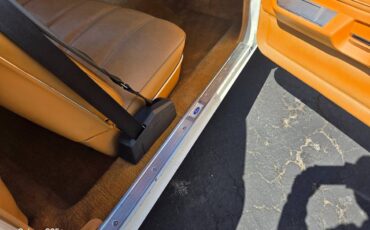 Ford-Thunderbird-1979-white-9