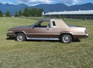 Ford-Thunderbird-1981-brown-1
