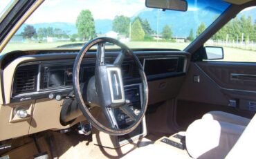 Ford-Thunderbird-1981-brown-2
