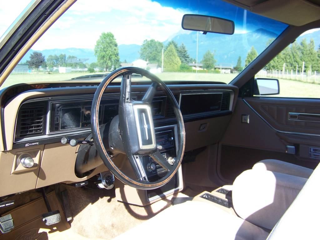 Ford-Thunderbird-1981-brown-2