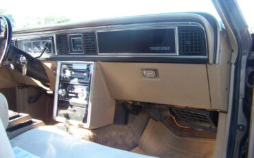 Ford-Thunderbird-1981-brown-3