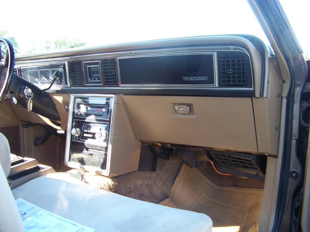 Ford-Thunderbird-1981-brown-3