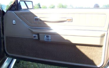 Ford-Thunderbird-1981-brown-4
