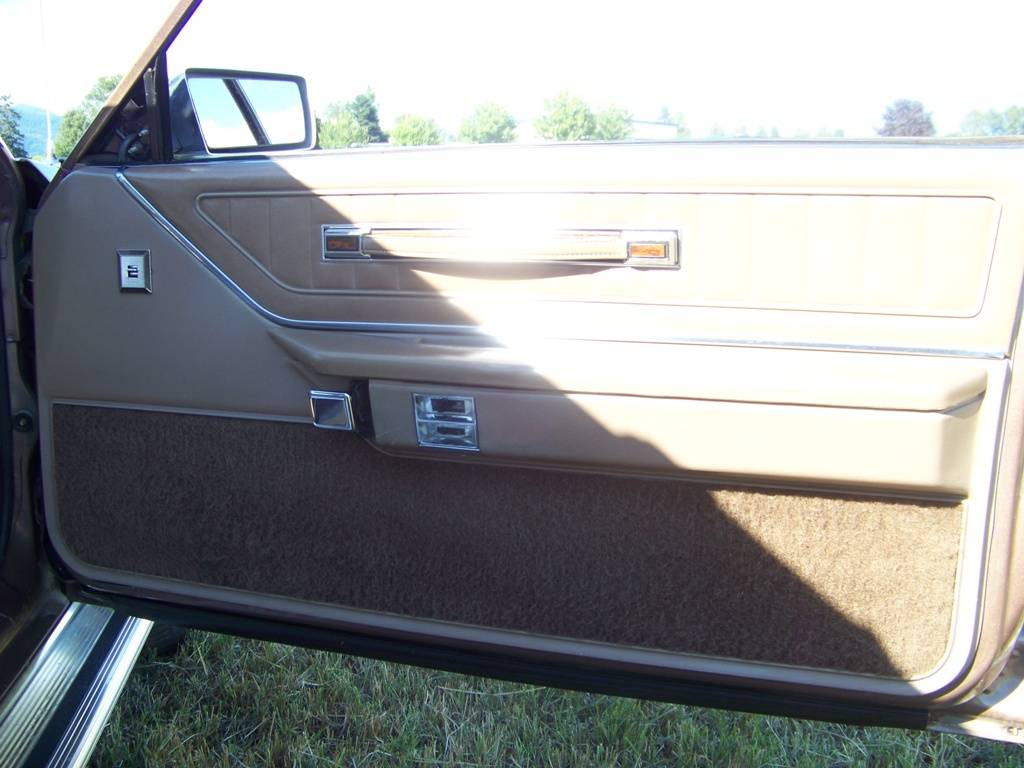 Ford-Thunderbird-1981-brown-4