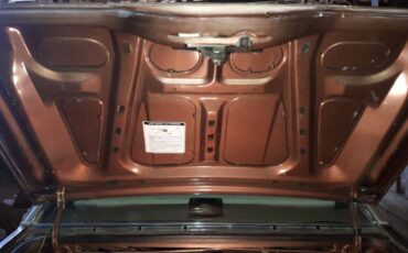 Ford-Thunderbird-1981-brown-5