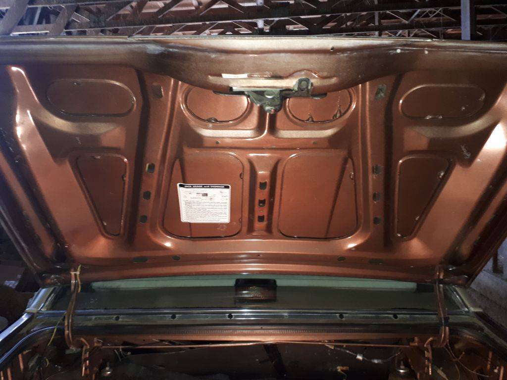 Ford-Thunderbird-1981-brown-5