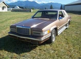 Ford-Thunderbird-1981-brown-6