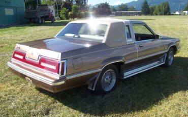 Ford-Thunderbird-1981-brown