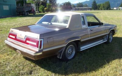 Ford Thunderbird  1981 brown