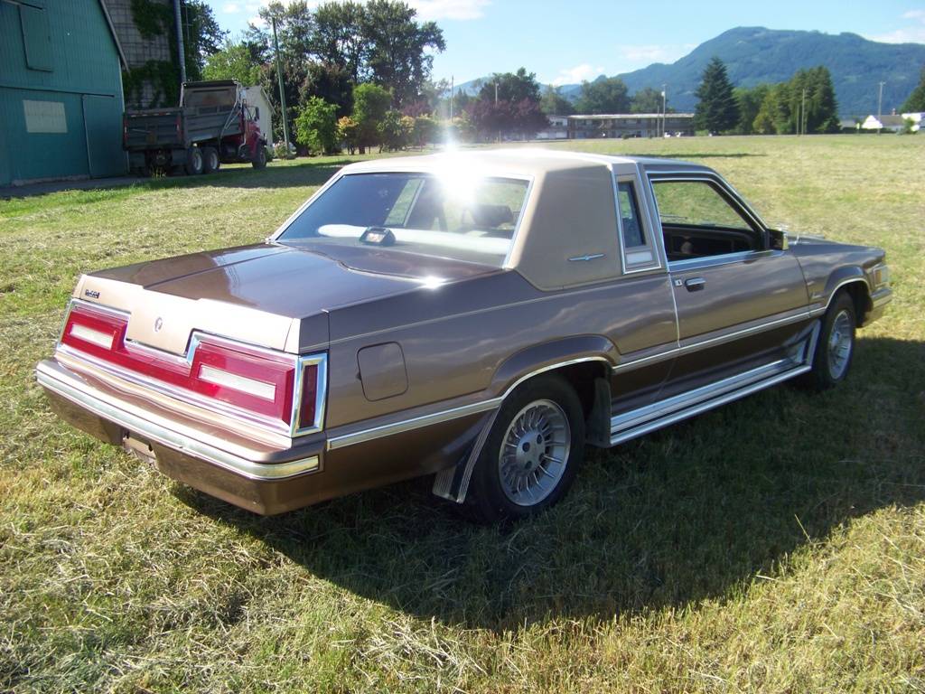 Ford-Thunderbird-1981-brown