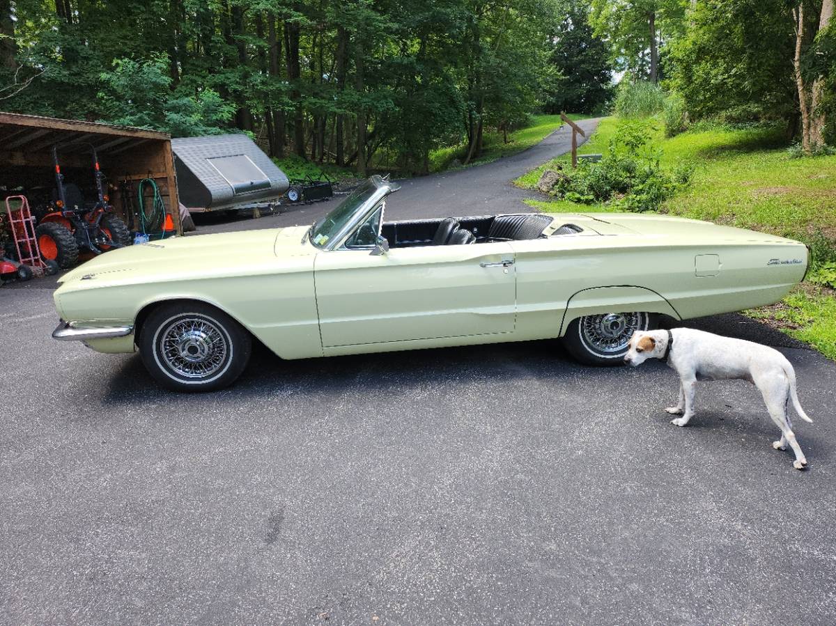 Ford-Thunderbird-convertible-1966-yellow-3
