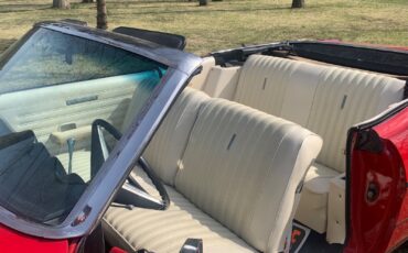 Ford-Torino-1969-Convertible-18