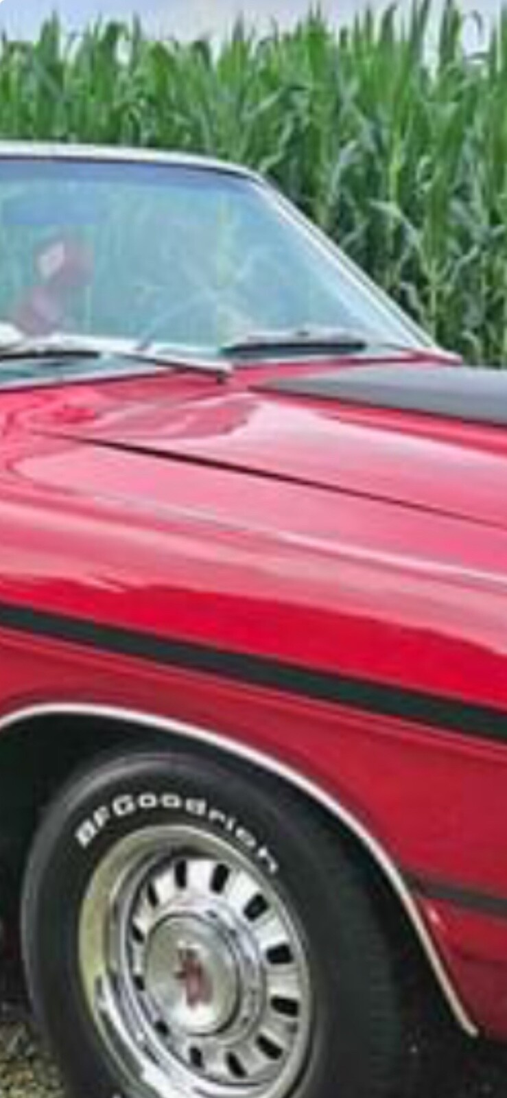 Ford-Torino-1969-Convertible-7