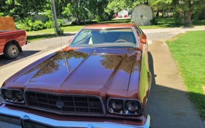 Ford Torino  1973 brown