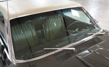 Ford-Torino-GT-Cobra-Jet-Fastback-1969-Fastback-33