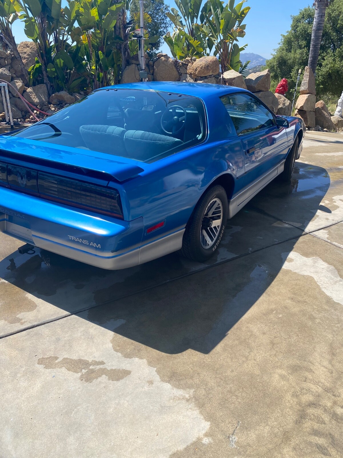 Ford-Trans-Am-1985-Coupe-2
