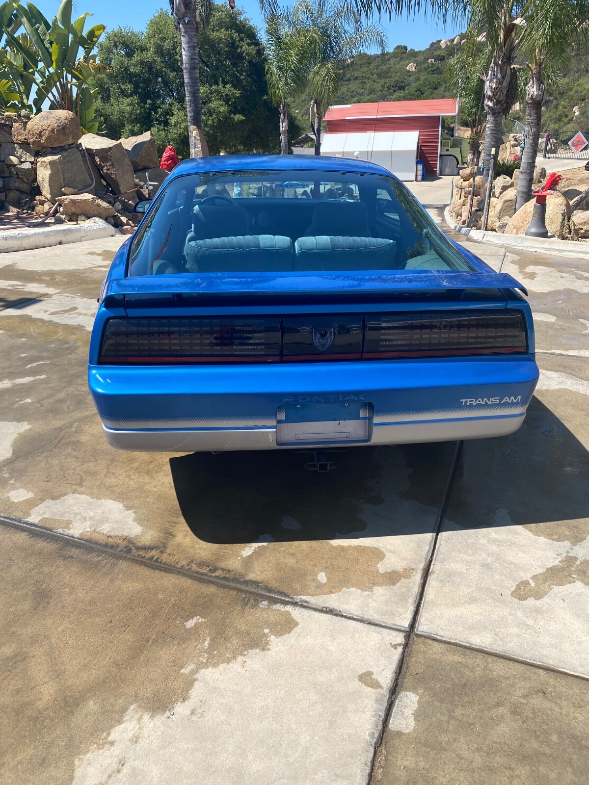Ford-Trans-Am-1985-Coupe-3