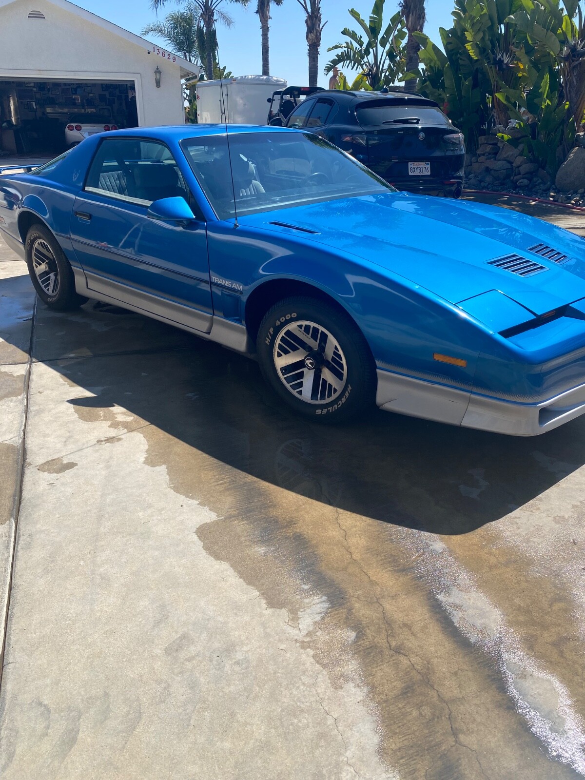 Ford Trans Am 1985 Coupe