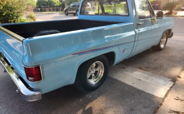 GMC-12-Ton-Pickup-1976-Standard-Cab-Pickup-11