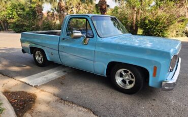 GMC-12-Ton-Pickup-1976-Standard-Cab-Pickup-12