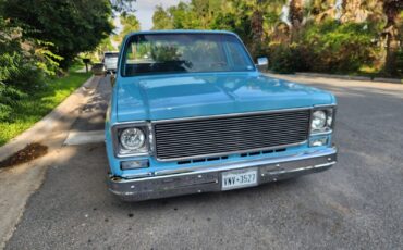 GMC-12-Ton-Pickup-1976-Standard-Cab-Pickup-13