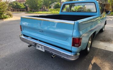 GMC-12-Ton-Pickup-1976-Standard-Cab-Pickup-14