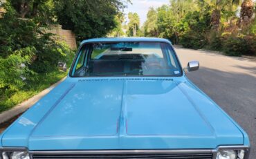 GMC-12-Ton-Pickup-1976-Standard-Cab-Pickup-15