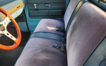 GMC-12-Ton-Pickup-1976-Standard-Cab-Pickup-19