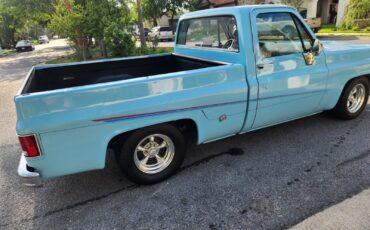 GMC-12-Ton-Pickup-1976-Standard-Cab-Pickup-2