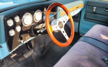 GMC-12-Ton-Pickup-1976-Standard-Cab-Pickup-21