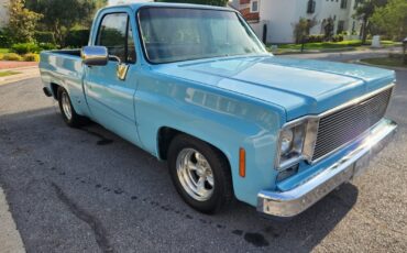 GMC-12-Ton-Pickup-1976-Standard-Cab-Pickup-3