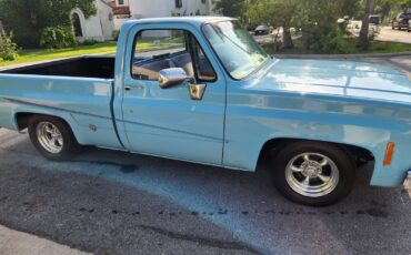 GMC-12-Ton-Pickup-1976-Standard-Cab-Pickup-4
