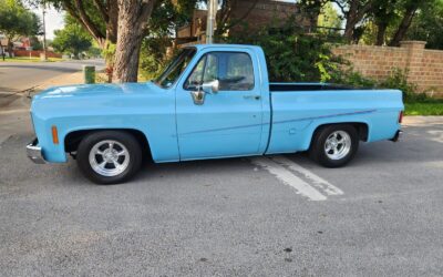 GMC 1/2 Ton Pickup 1976 Standard Cab Pickup