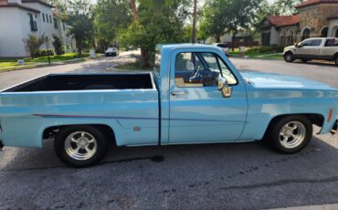 GMC-12-Ton-Pickup-1976-Standard-Cab-Pickup-5