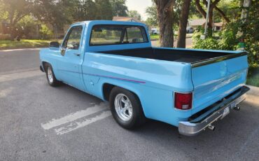 GMC-12-Ton-Pickup-1976-Standard-Cab-Pickup-6