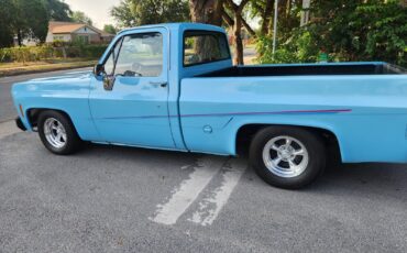 GMC-12-Ton-Pickup-1976-Standard-Cab-Pickup-8