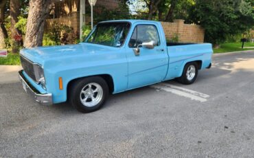 GMC-12-Ton-Pickup-1976-Standard-Cab-Pickup-9