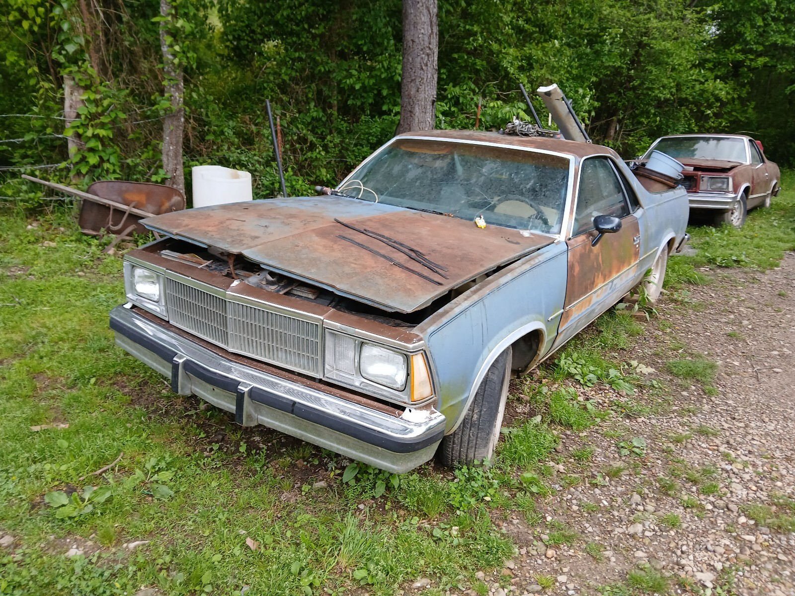 GMC-Caballero-1981