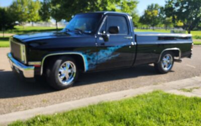 GMC Sierra 1500 1981 Cab & Chassis
