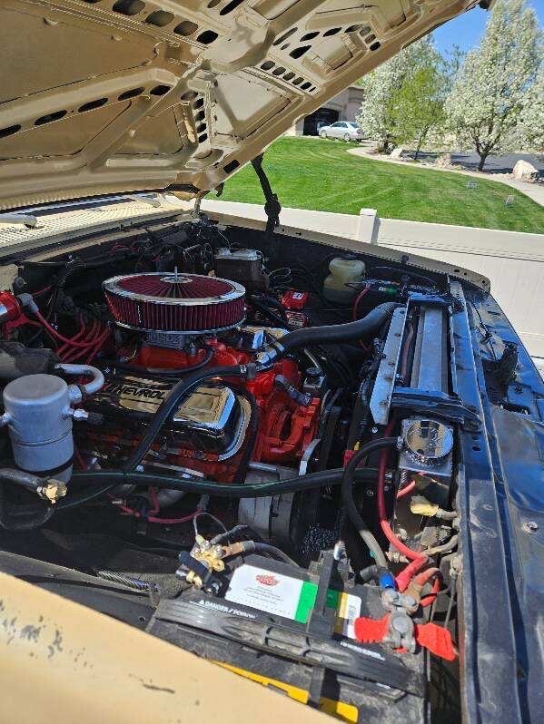 GMC-Sierra-2500-1982-12