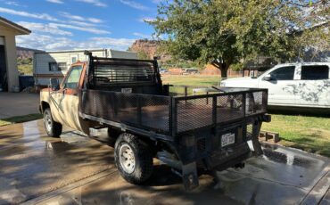 Gmc-Sierra-1974-brown-10