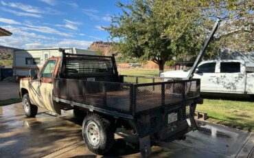Gmc-Sierra-1974-brown-5