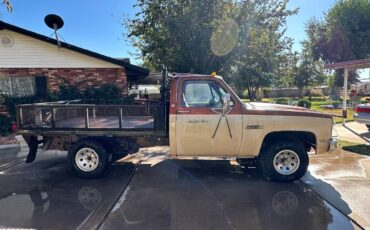 Gmc-Sierra-1974-brown-8
