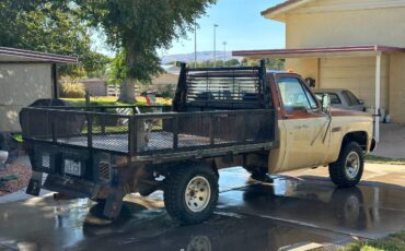 Gmc-Sierra-1974-brown-9