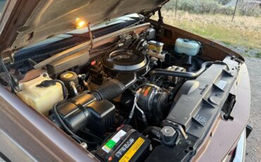 Gmc-Sierra-2500-1994-brown-21
