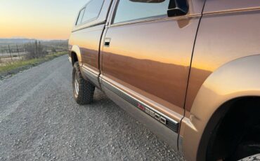 Gmc-Sierra-2500-1994-brown-6