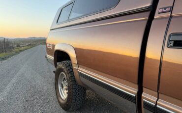 Gmc-Sierra-2500-1994-brown-7
