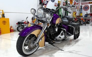 Harley-Davidson-Custom-Road-King-1995-1