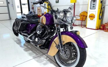 Harley-Davidson-Custom-Road-King-1995-13
